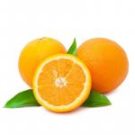 Fresh Malta