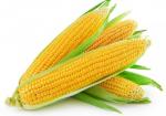 Sweet  Corn  ( challi )