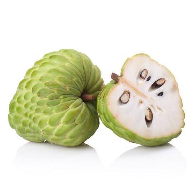 Custard Apple ( Sithaphal )