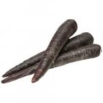 Black  Carrot