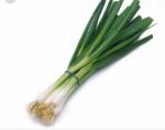 Green Garlic (Lasan )