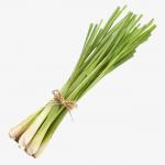 Lemon Grass