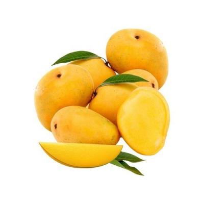 Mango Langra Gold