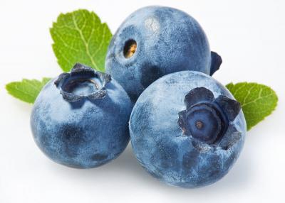 Blueberry Jumbo
